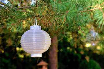 Bunte Lampions
