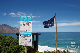 Shark Spotters at work in Cape Town, South Africa.  Photo: Blair Ranford