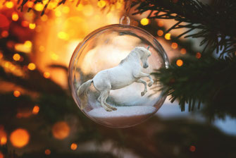 ++ Felices Fiestas ++ Frohe Weihnachten ++ Merry Christmas ++