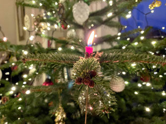 Eine musikalische Weihnachtslesung, Lesung und Musik