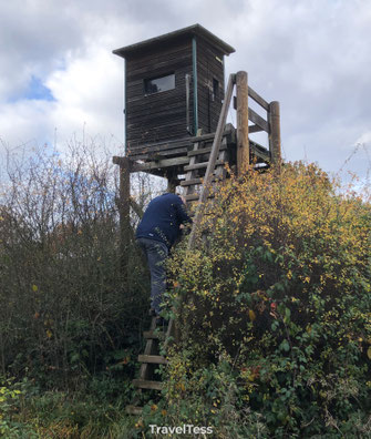 Vogelspot hut Eiffel