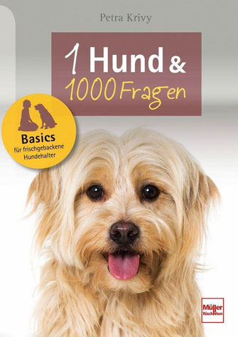 Ein Hund und 1000 Fragen: Basics für frischgebackene Hundehalter