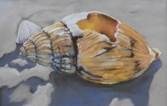 Pastell, Stillleben, Schnecke, Nordsee