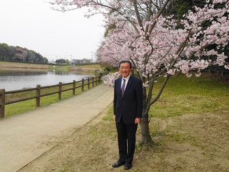 ２００１年に植樹した桜が満開