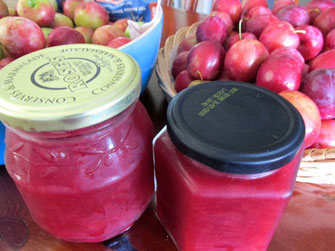 homemade plum jam