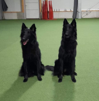 links DIOR, rechts DJANNI