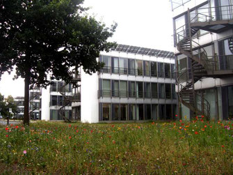 Der Wissenschaftspark in Gelsenkirchen beherbergt das Institut für Stadtgeschichte