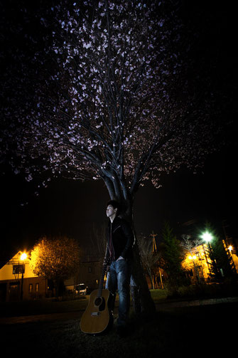 日本 北海道 夜桜にて佇む