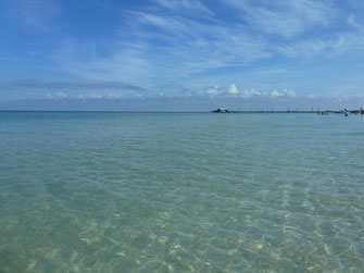 Bild: Anna Marie Island, Florida