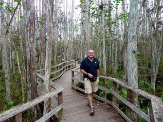 Bild: Boardwalk im Corkscrew Swamp Sancturary