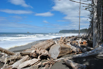 Olympic Nationalpark Washington State