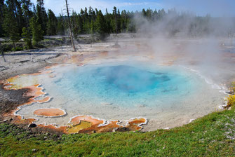 Yellowstone begleitete Wohnmobilreise USA