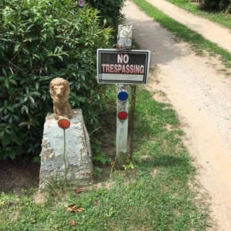 A driveway guarded by a golden lion.