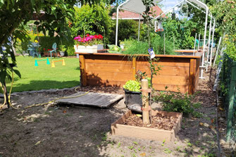 Pflanzen im Hochbeet - Blockhaus, Holzhaus, Hersteller, Gewächshäuser, Garten, Pflanzen, Gärtner, Gartengestaltung, Bau, Hobbygärtner, Kräutergarten, Gemüse