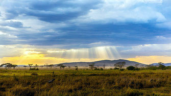 La savana. Sullo sfondo le colline denominate "Out of Africa".