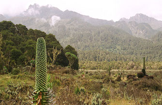 Tipico panorama della Rift Valley.