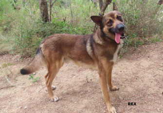 REX