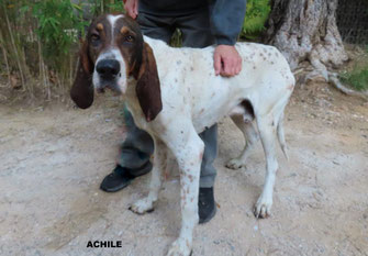 ACHILE