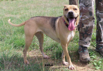 KAÏLA 2