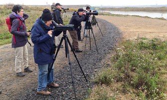 Arbeitsgruppe Arbeitskreis Ornithologie Kartierungen Rebhuhn Jahresbericht 2023 Exkursion Tierspuren Ziegenmelker Wildgänse Niederrhein NABU Düren