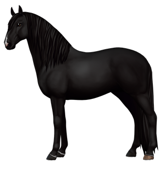 Das Cluboutfit - star-stable-golden-progresss Webseite!