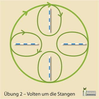 Pferd Bodenarbeit Stangen