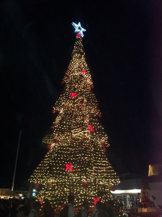 Big kitschy Christmas tree in San Jose del Cabo.