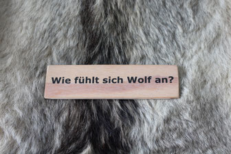 Fotó: Rainer Hauenschild: Wolfsfell