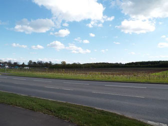 View of the park and ride site from Vendee Drive