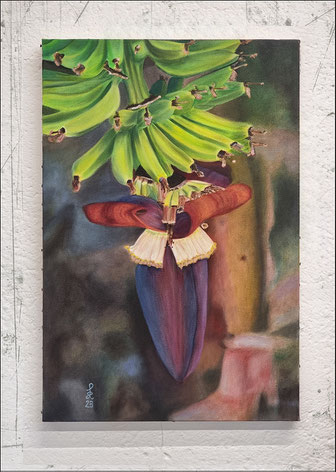 BANANENSTAUDE MIT BLÜTE, ÖL AUF BAUMWOLLE 61X41 CM, 2023