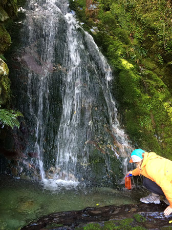 milford sound fresh water waterfall