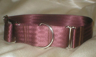 Martingale, Halsband, 4cm, Gurtband schokobraun