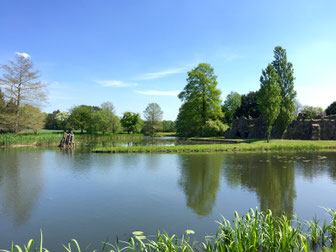 Garten- und Landschaftsbau, Fischer Außenanlagen Service GmbH 2016