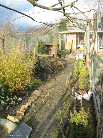 intérieur de la volière de 33 m2