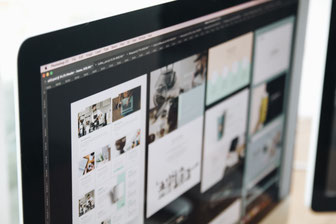 Desarrollo paginas web Microcalli