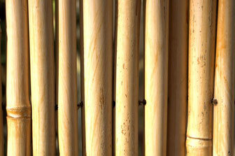 Clôture de bambou fond par Marina Shemesh  http://www.publicdomainpictures.net/view-image.php?image=80243&picture=cloture-de-bambou-fond