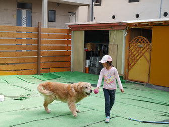 ろん！！ロンも11,2歳だね