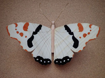 Papillon modèle "Vulcain"