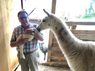 Peter mit einem jungen Lämmli und Larsen, dem Lama-Wallach