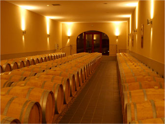 Chai à barrique du Château Pichon-Bellevue