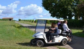 Visite du vignoble Castillon Côtes de Bordeaux en golfette