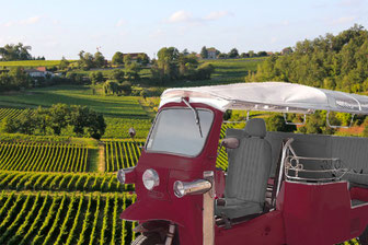 Visite du vignoble de Saint-Emilion en Tuk-tuk