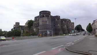 Schloss Angers