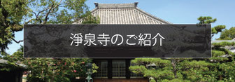 浄泉寺のご紹介