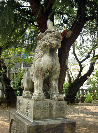 青山熊野神社 狛犬