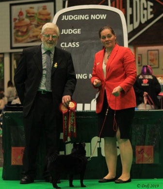 Crufts 2019