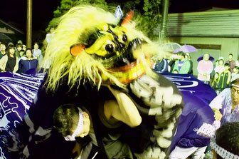 獅子の足が段差を越えて決着。これより哀愁の社殿へ。表情の移り変わりも見所。