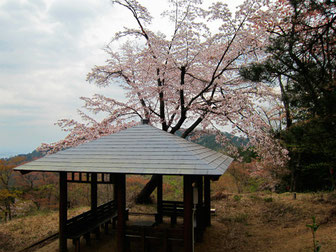 tyanmaruとお友達さん： 東京都八王子市・奥高尾