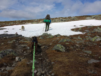 Snow fields on the way to the peak - July 2015