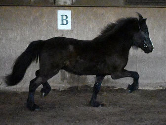 Decktaxe: € 600.-